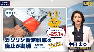 【特集】国民民主党の公約「ガソリン暫定税率廃止」、4年越しでついに実現へ