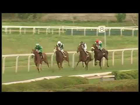 2017.10.01 Premio Archidamia (ITA) - Paiardina