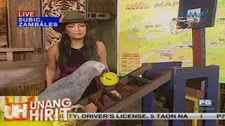 Unang Hirit: Rain or Shine Weekend Pasyalan with Regine