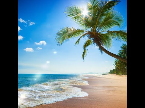 Soothing Waves  A Tranquil Beach Symphony