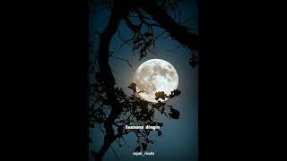 Download lagu Story wa rembulan malam mp3