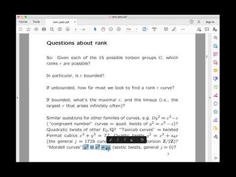 Noam Elkies, Rank speculation