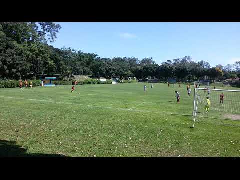 Tigres de Aracruz ES.