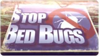 preview picture of video 'Bed Bug Spraying in Davis CA 916-226-4836 Free Bed Bug Inspection'