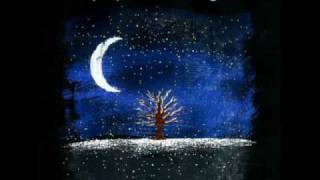 A Quiet (E)vening / Bloom - Mae