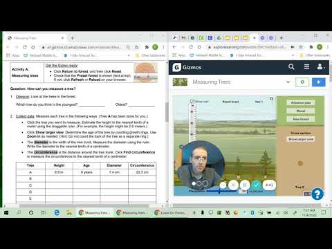 Video Measuring Trees Gizmo