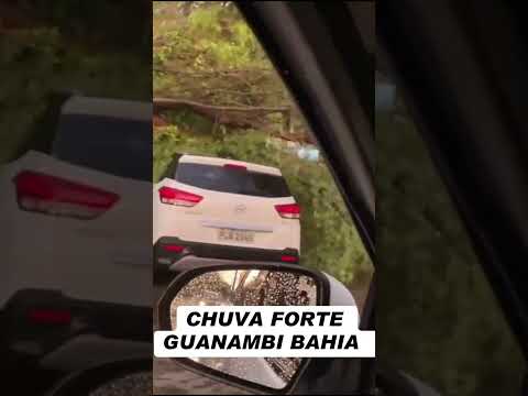 Chuva forte alaga ruas em Guanambi, Bahia, quarta-feira (19/11), vídeo : TV Sebastião Laranjeira