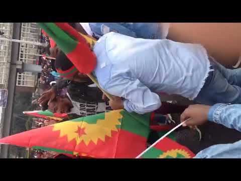 New Oromo music ABO 2019