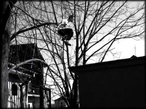 P.N.Z.W Opoczno - Podejmuj wyzwania Youtube jakość (Foto Relacja)