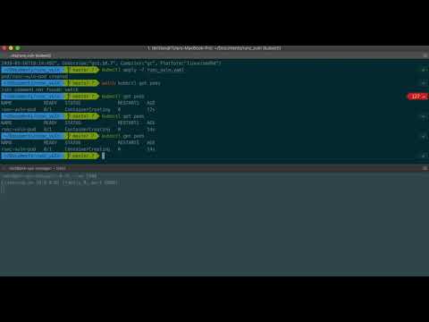 CVE-2019-5736 on PKS 1.3.3