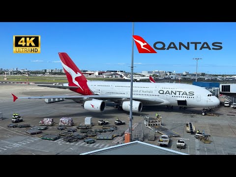 QANTAS A380 QF1 Economy Class - Sydney to London via Singapore (Feb 2023) (4K)