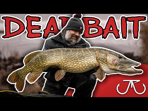 MONSTER PIKE ON "SIMPLE RIG“