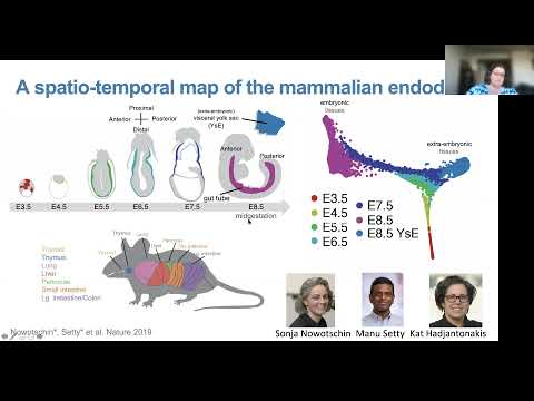 QLS Seminar - Dana Pe'er - November 9