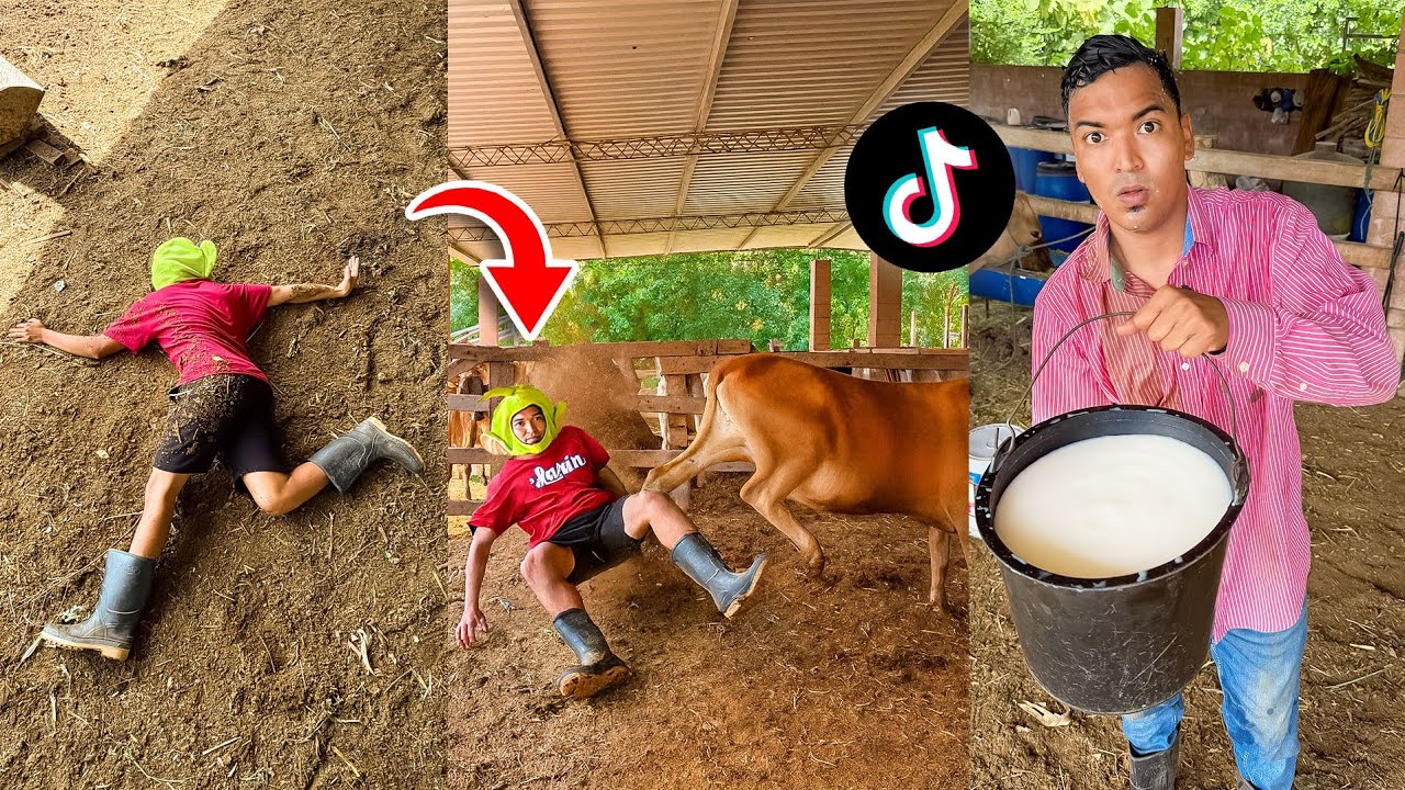 VACA ME PATEO POR ORDEÑARLA TIKTOK - ALFREDO LARIN 