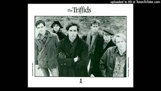 The Triffids - Open for you