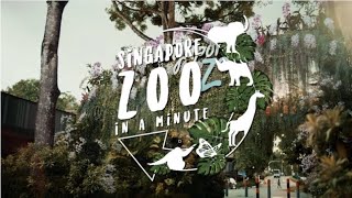 Singapore Zoo