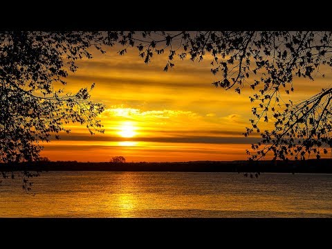 8 Hour Sleep Music, Calm Music for Sleeping, Delta Waves, Insomnia, Relaxing Music, ☯3264