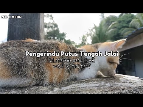 Pengerindu Putus Tengah Jalai // Kelemayang Band (Lirik) // Background Mimi Meow..