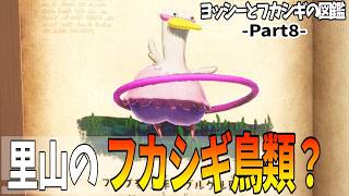 8【ヨッシーとフカシギの図鑑】里山のフカシギ鳥類？