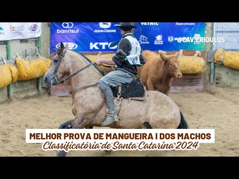 Ouro Branco 2011 Maufer • Melhor Prova de Mangueira I dos Machos na Clas. de Santa Catarina 2024