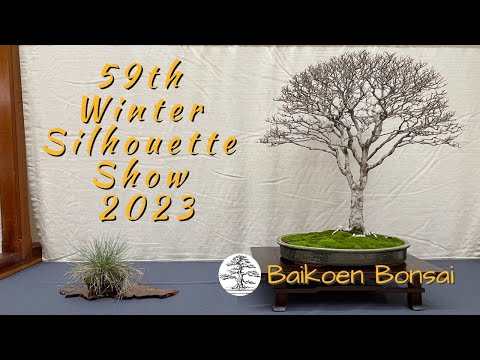 2023 59th Baikoen Bonsai Club Winter Silhouette Show - Exhibition Commentary - Baikoen Bonsai Club