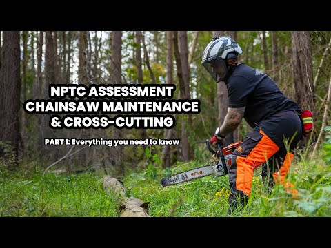 NPTC Chainsaw Maintenance & Cross-Cutting | What to Expect on Assessment Day (Part 1/4)