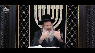 הרה"ג ר' שמעון שנייבלג שליט”א | דבר חינוך אקטואלי מהפרשה | פרשת חיי שרה | אידיש