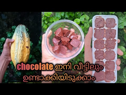 ചോക്ലേറ്റ് ഇനി വീട്ടിലും ഉണ്ടാകാം chocolate making from coco beans