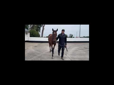 Video 1
