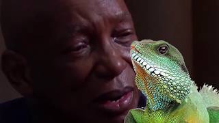 PewDiePie exposes a Reptilian Lizard