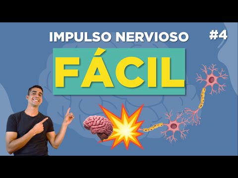 NERVE IMPULSE TRANSMISSION ▶▶💥 and SYNAPSES (EASY explanation)