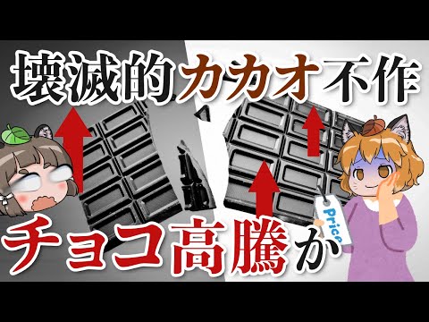 【異常】チョコレートの価格高騰！？壊滅的なカカオの不作でヤバいことに…
