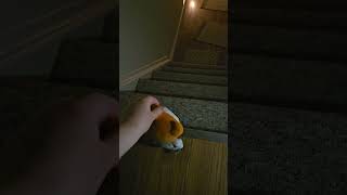 Pennywise Falling down the stairs