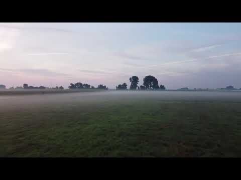 Huntewiesen am frühen Morgen