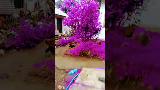 Download lagu 1 Januari 2026 mp3