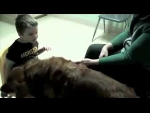 download lagu mp3 mp4 Hope Unleashed, download lagu Hope Unleashed gratis, unduh video klip Hope Unleashed