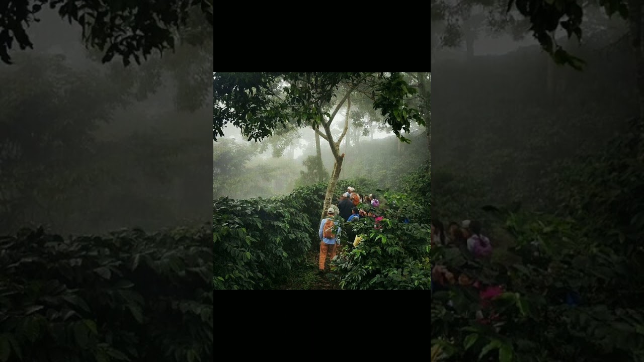 Sua Infância foi Trabalho - Zé Acácio