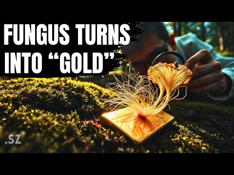 Nature's Secret Gold Miners
