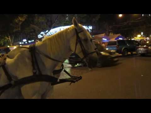 Odessa at night, street, people, horses, coachman and fantastic lady violinist