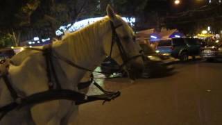 Odessa at night, street, people, horses, coachman and fantastic lady violinist