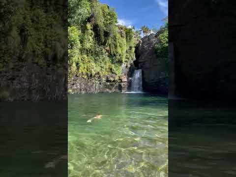 ninguém acredita #cavalcantegoias #waterfall #turistandoemsp #mtur #travel #hiking #turismo #nature