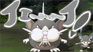 【ポケットモンスタームーン】【ゆっくり実況プレイ】アルとフォーの島めぐり旅Prat１２