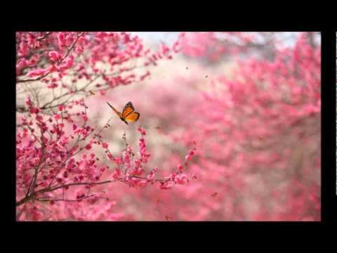 Raag Dhanasari, Bhai Balbir Singh, Jap Man Sat Nam Sada Sat Nam