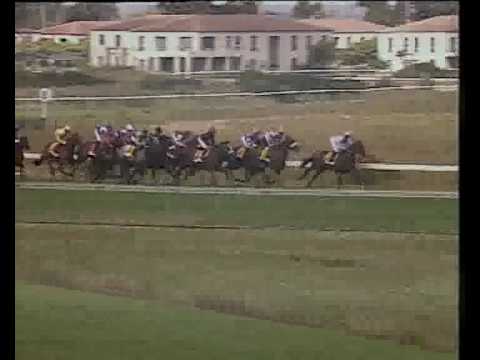 River Jetez - J&B Met