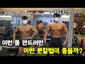 피지크 선수같은 몸 만드려면 몇 분할이 좋을까? #분할법 #2분할 #2부랄