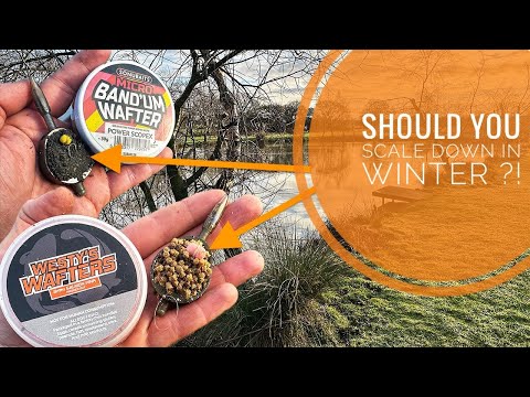 Should You Scale Down Your Method Feeder Setup In Winter ?!