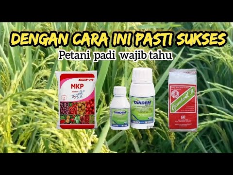 APPLY TARGETED NUTRITION ‼️