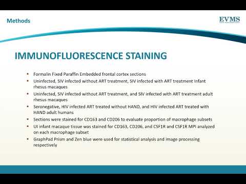 Thumbnail image of video presentation for Infant associated CD206 single positive macrophages reappear in ART treated Adults