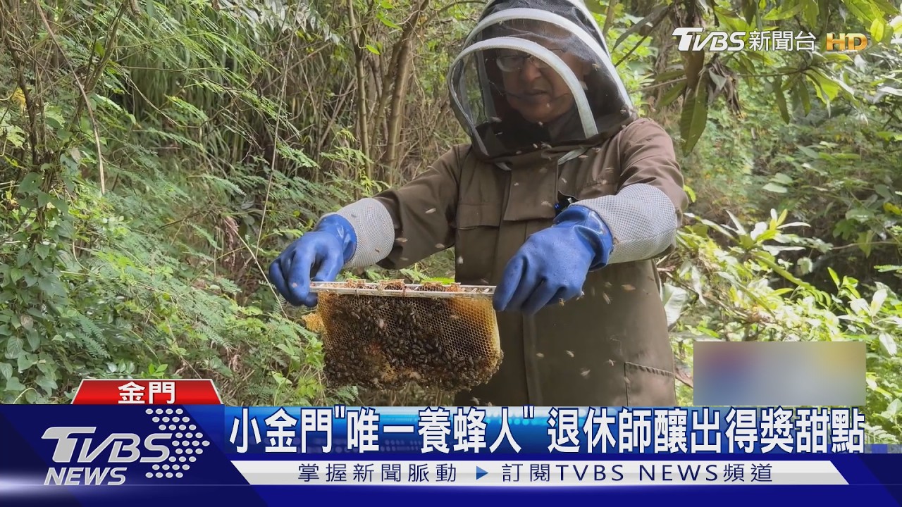 國境之西養蜂人！退休老師守小金門土蜂　登離島唯一「500甜」