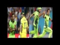 When Shane Watson Shone In The Face Of Wahab​ Riaz S​ Fiery Bowling